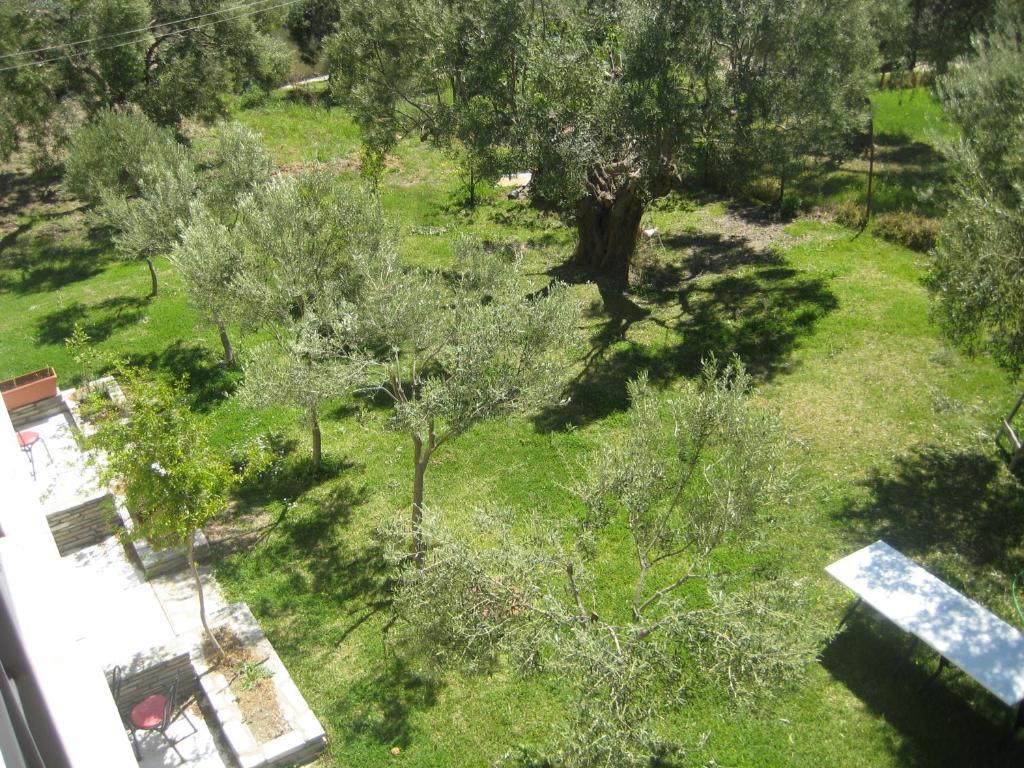 Petradaki Apartments Мола-Каліва Номер фото