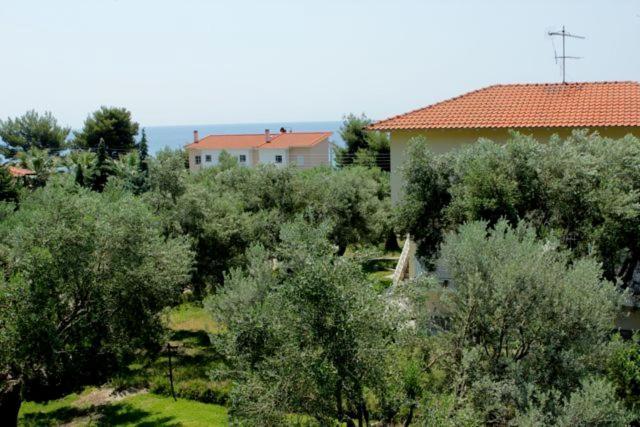 Petradaki Apartments Мола-Каліва Екстер'єр фото