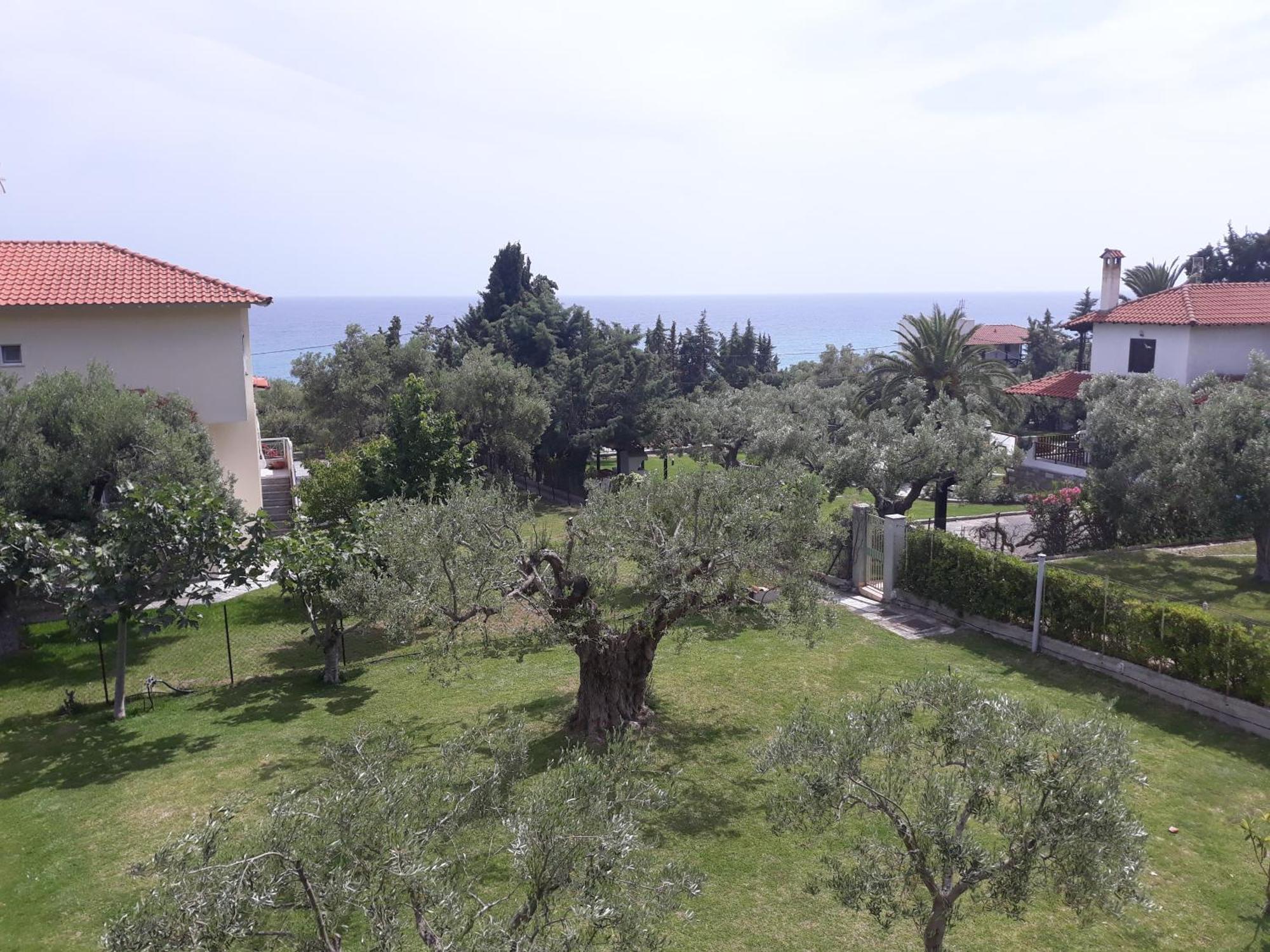 Petradaki Apartments Мола-Каліва Номер фото